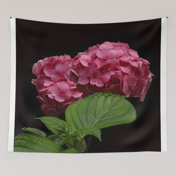 Item preview, A Wonderful Pink Hydrangea designed and sold by Karen Thomson.