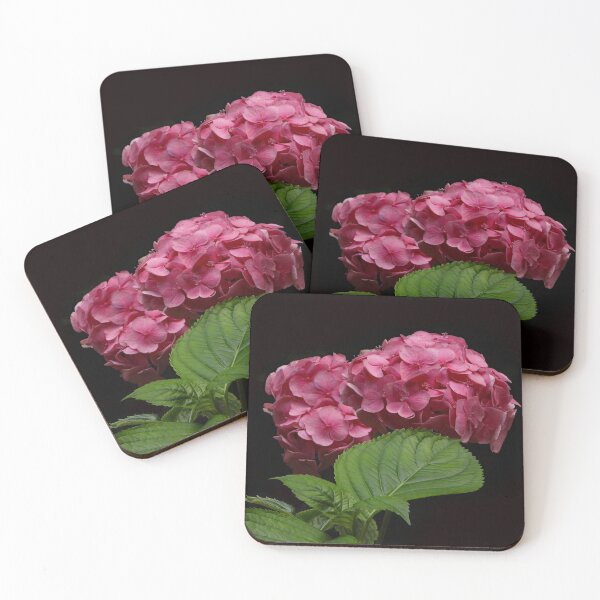 Item preview, A Wonderful Pink Hydrangea designed and sold by Karen Thomson.
