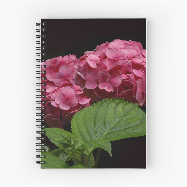Item preview, A Wonderful Pink Hydrangea designed and sold by Karen Thomson.