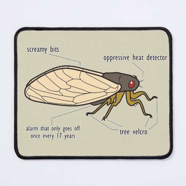 Item preview, Very accurate cicada diagram designed and sold by Joss Day.