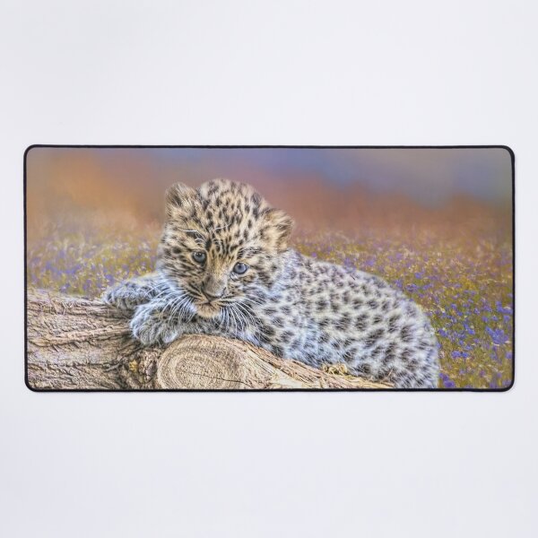 Item preview, Amur Leopard Cub designed and sold by Elisabeth Lucas.