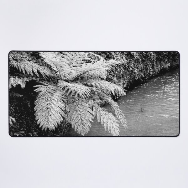 Item preview, Ferns designed and sold by Gaspar Avila.