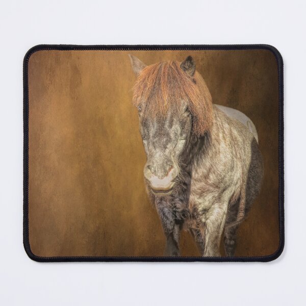 Item preview, Shetland Pony designed and sold by Elisabeth Lucas.