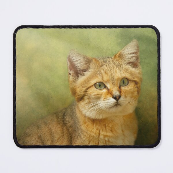 Item preview, Green Eyed Sand Cat designed and sold by Elisabeth Lucas.