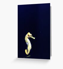 Just a Lil' Seahorse Greeting Card