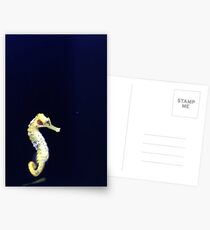 Just a Lil' Seahorse Postcards