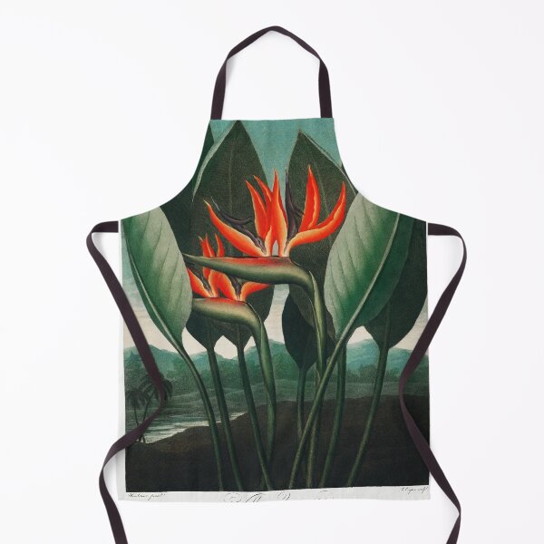 Item preview, The Queen–Plant from The Temple of Flora (1807) by Robert John Thornton. Original from Biodiversity Heritage Library. designed and sold by LenaShines.