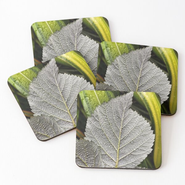 Item preview, One shade of grey on a rainy day.        designed and sold by Lorraine Lashley  - My Joy..
