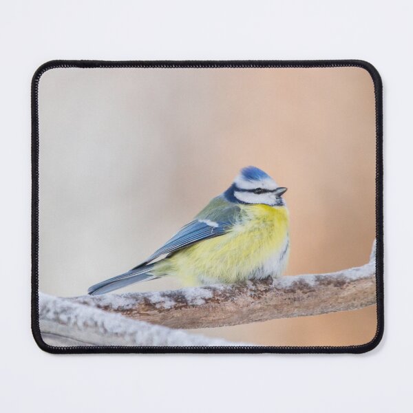 Item preview, Eurasian Blue Tit designed and sold by Dominika Aniola.