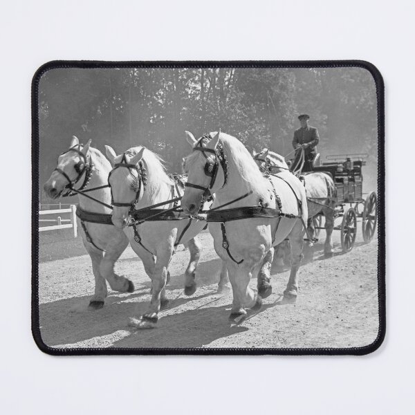 Item preview, r2733/ 16 Nostalgie " Le Haras du Pin " Finition 2021 "  Caléche en Parade public (n&b)(t) Olavia-Olao Okaio Créations designed and sold by o.okaïo.