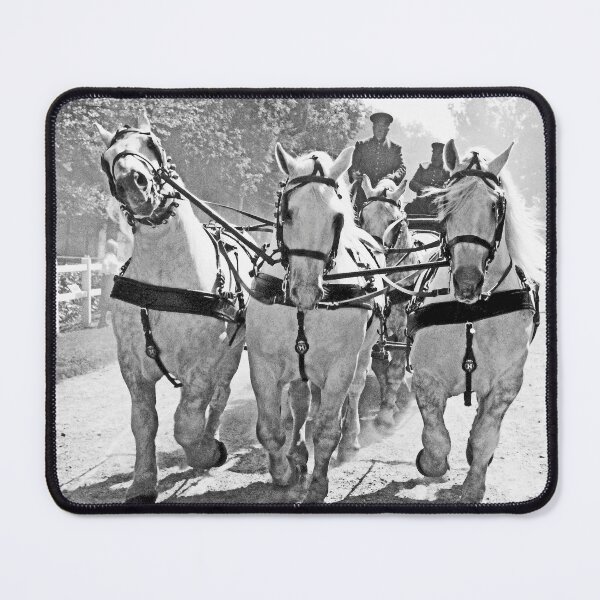 Item preview, r2734/ 17 Nostalgie " Le Haras du Pin " Finition 2021 "  Caléche et les Héros du jour en Parade public (n&b)(h) Olavia-Olao Okaio Créations designed and sold by o.okaïo.