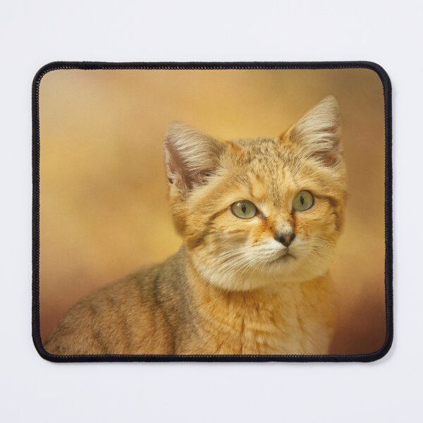 Item preview, Golden Sand Cat designed and sold by Elisabeth Lucas.