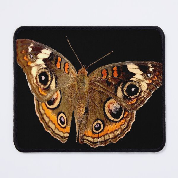 Item preview, Buckeye Butterfly designed and sold by WildLifeCeramic.