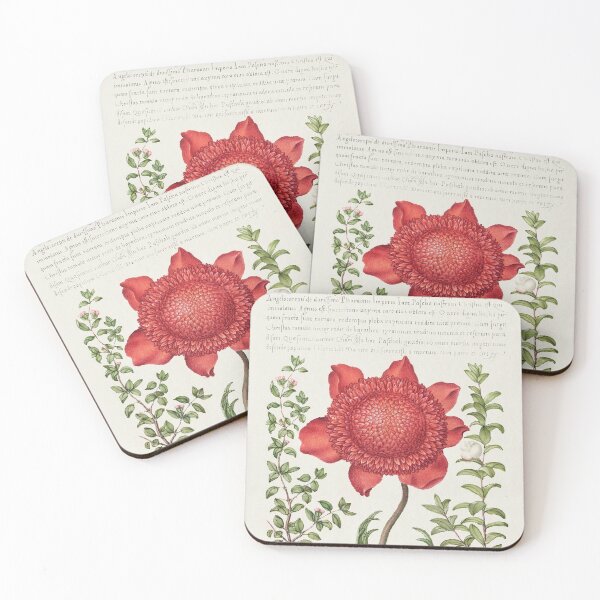 Item preview, Basil Thyme, Poppy Anemone, and Myrtle from Mira Calligraphiae Monumenta or The Model Book of Calligraphy (1561–1596) by Georg Bocskay and Joris Hoefnagel. Original from The Getty. designed and sold by LenaShines.