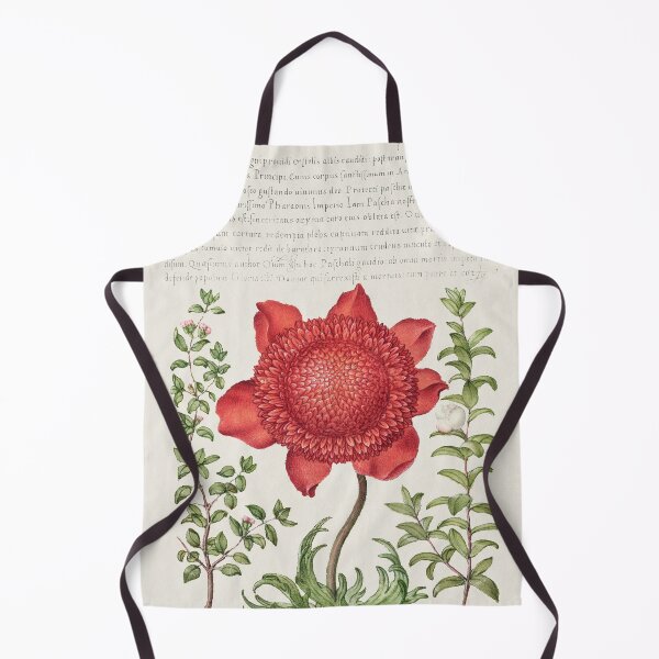 Item preview, Basil Thyme, Poppy Anemone, and Myrtle from Mira Calligraphiae Monumenta or The Model Book of Calligraphy (1561–1596) by Georg Bocskay and Joris Hoefnagel. Original from The Getty. designed and sold by LenaShines.