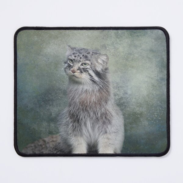 Item preview, Mongolian Pallas's Cat designed and sold by Elisabeth Lucas.