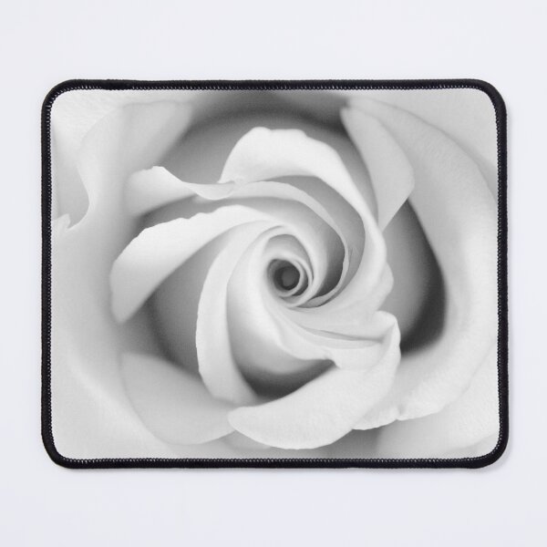 Item preview, Black & White Beauty Rose #1 #floral #decor #art  designed and sold by Anita's & Bella's Art.