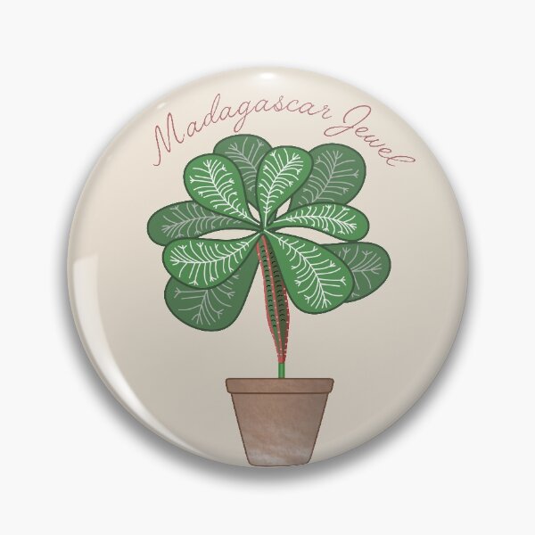 Item preview, Madagascar Jewel (Euphorbia Leuconeura) Art designed and sold by TASORA.