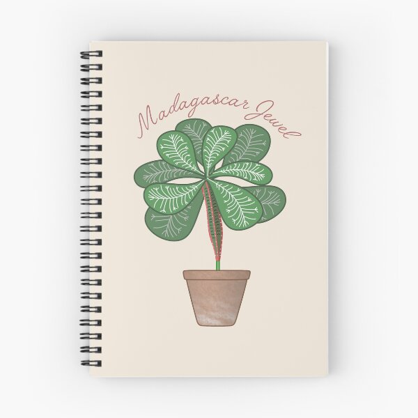 Item preview, Madagascar Jewel (Euphorbia Leuconeura) Art designed and sold by TASORA.