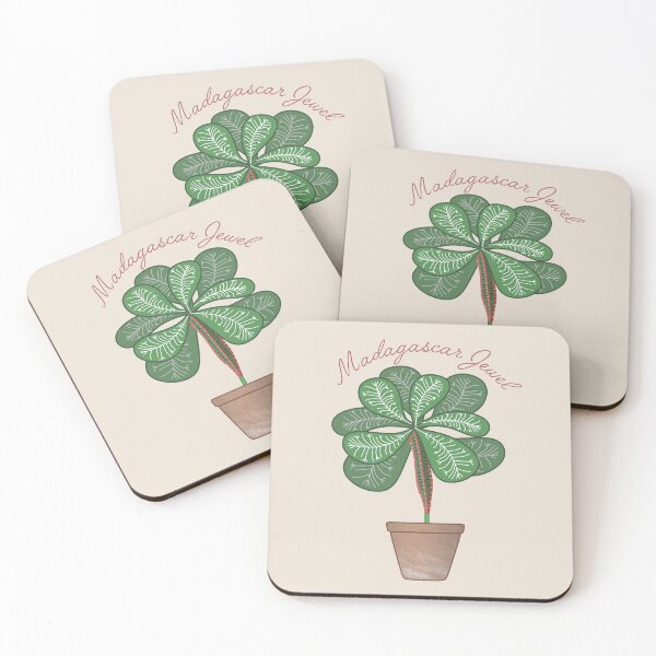 Item preview, Madagascar Jewel (Euphorbia Leuconeura) Art designed and sold by TASORA.