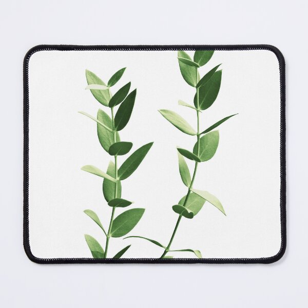 Item preview, Minimal Eucalyptus Dream #2 #foliage #decor #art designed and sold by Anita's & Bella's Art.