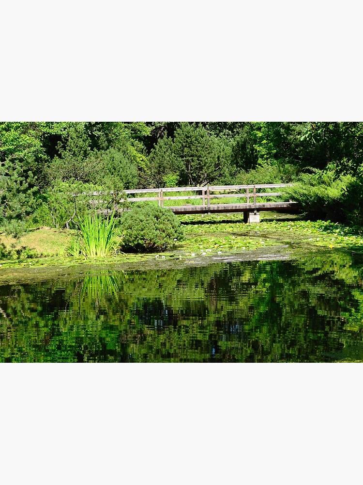 Thumbnail 3 of 3, Photographic Print, Japanese Garden in Summer designed and sold by Mallorn.