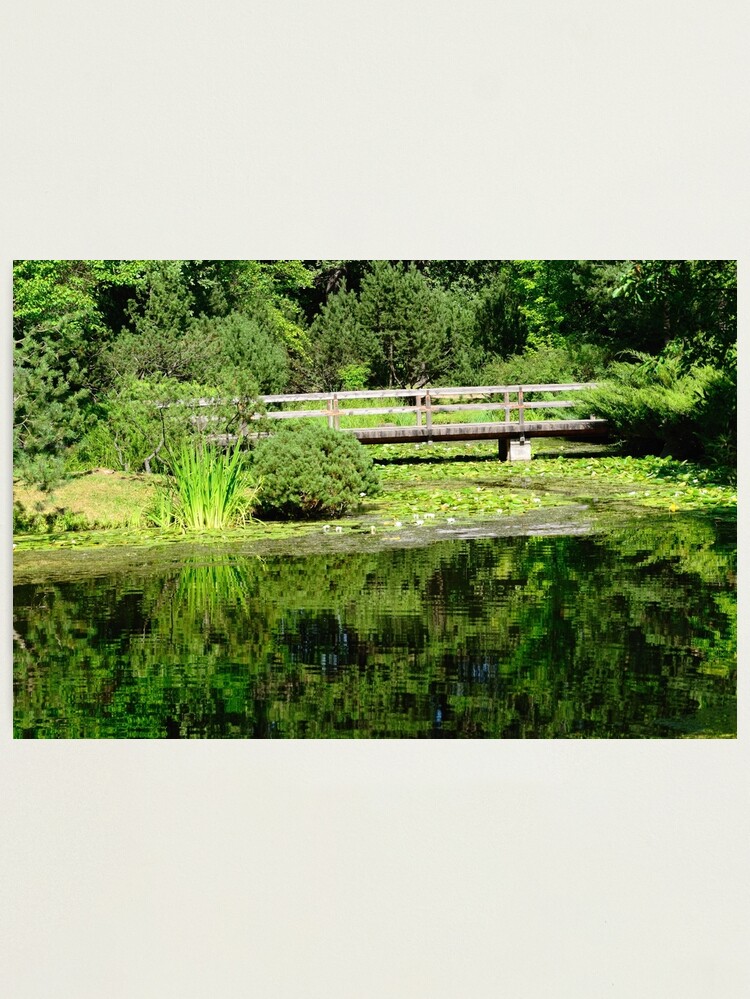 Thumbnail 1 of 3, Photographic Print, Japanese Garden in Summer designed and sold by Mallorn.