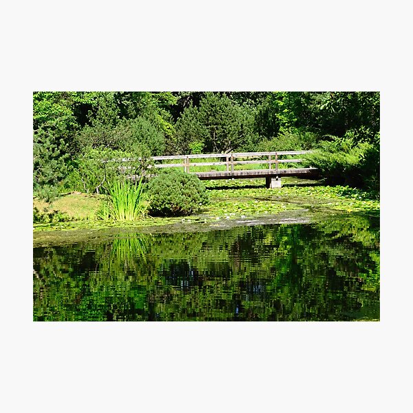 Photographic Print