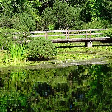 Artwork thumbnail, Japanese Garden in Summer by Mallorn