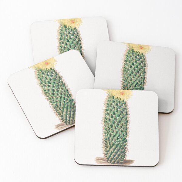 Item preview, Hedgehog Cactus (Mammillaria Erecta) from Iconographie descriptive des cactées by Charles Antoine Lemaire (1801–1871). Original from Biodiversity Heritage Library. designed and sold by LenaShines.