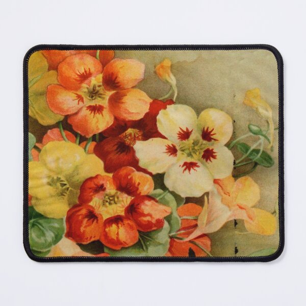 Item preview, Vintage Seed Pack Botanical Art designed and sold by Joanne Pane.