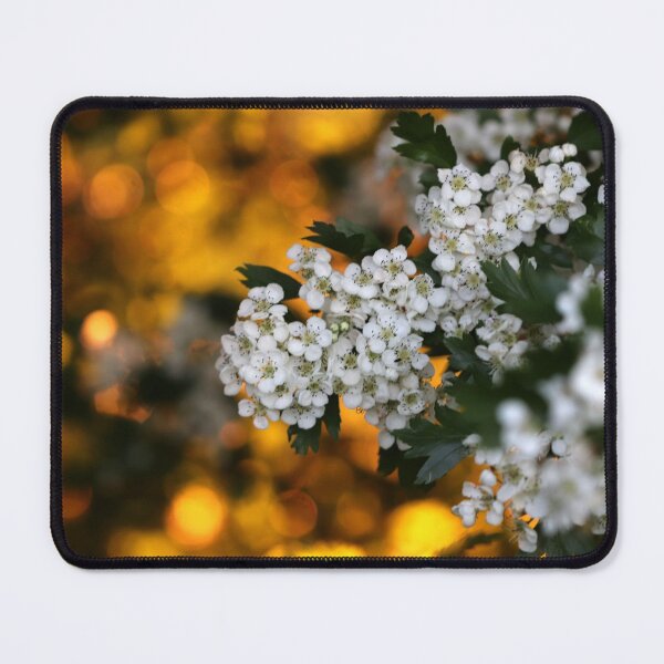 Item preview, Hawthorn at Sunset designed and sold by cuprum.