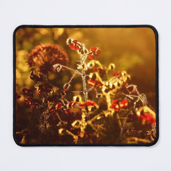 Item preview, Geranium in Setting Sun designed and sold by cuprum.