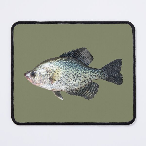 Item preview, Mr Crappie designed and sold by Wil2liam4 Designs.