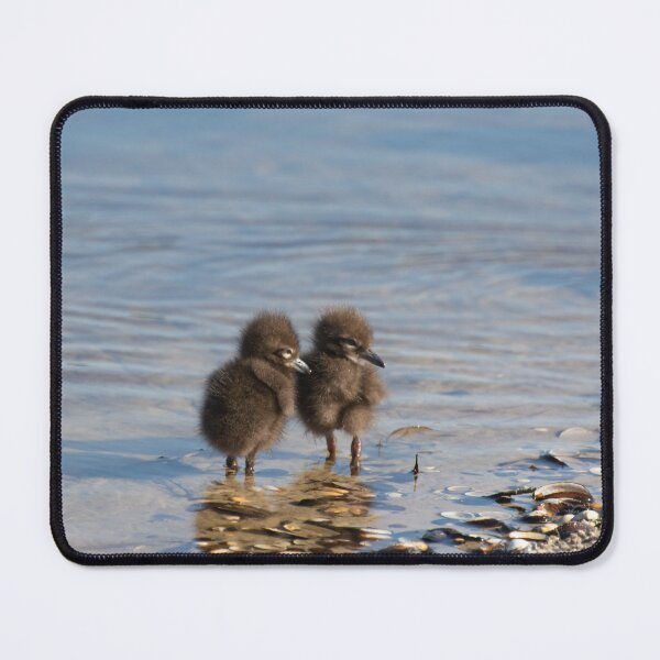 Item preview, Limpkin chicks designed and sold by Zina Stromberg.