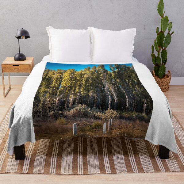 Item preview, Pinos a un lado del camino designed and sold by Rariel.