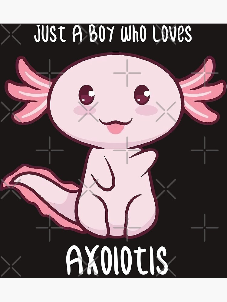 Axolotl Gift Kids Kawaii Axolotl Gifts Men Axolotl Postcard