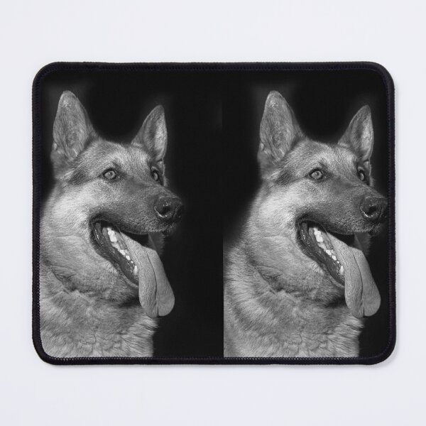 Item preview, r2728 / Finition 2021 / 5 " Les Chiens de l'Armée et moi , un contact personnel (c)(h) Olavia-Olao Okaio Créations designed and sold by o.okaïo.