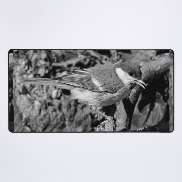 Item preview, r1361/  new finition 2021  Birds  05a - N-B (c)(t) by Olao-Olavia / Okaio Créations  designed and sold by o.okaïo.