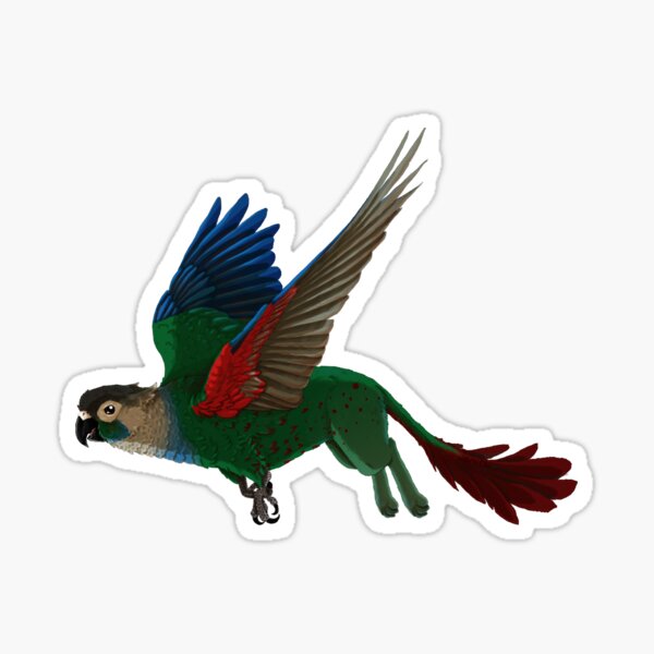 Conure Gryphon Sticker