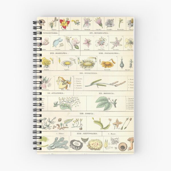 Item preview, Botanical Chart by Bromme designed and sold by Lloyd Library & Museum.