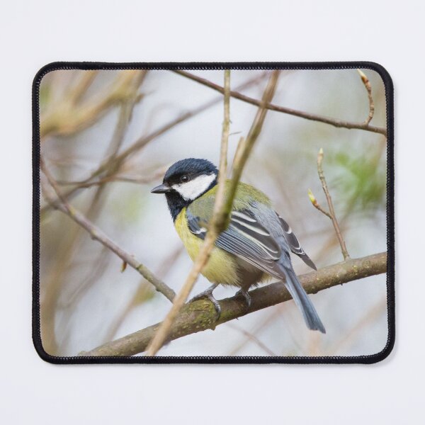 Item preview, The Great Tit designed and sold by Dominika Aniola.