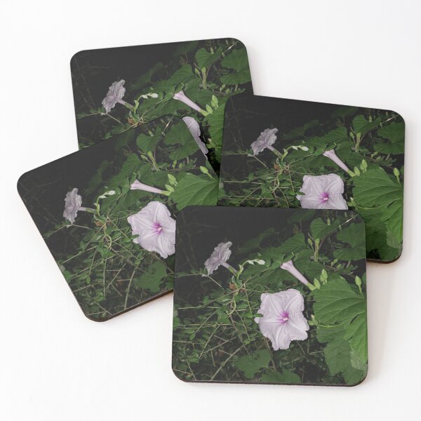Item preview, Moonflowers designed and sold by Bugs and Rockets.