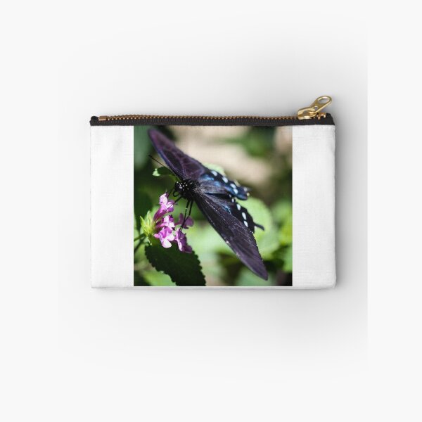 Item preview, Spicebush Swallowtail Papilio Troilus designed and sold by Henrik Lehnerer.