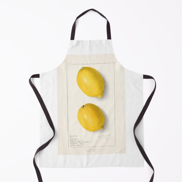 Item preview, Lemons (Citrus Limon) (1910) by Ellen Isham Schutt. Original from U.S. Department of Agriculture Pomological Watercolor Collection. Rare and Special Collections, National Agricultural Library. designed and sold by LenaShines.