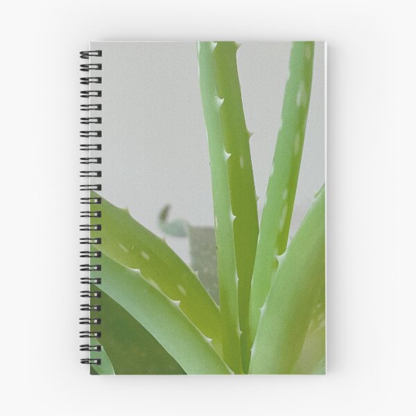 Item preview, the boring life of this plant designed and sold by Jennaism.