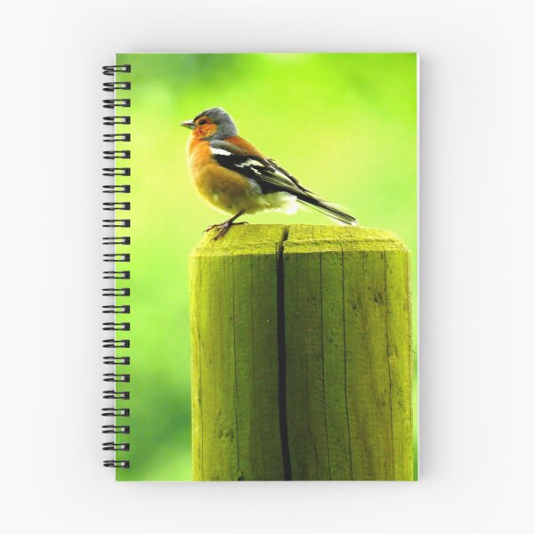 Item preview, Chaffinch One designed and sold by Barnbk02.