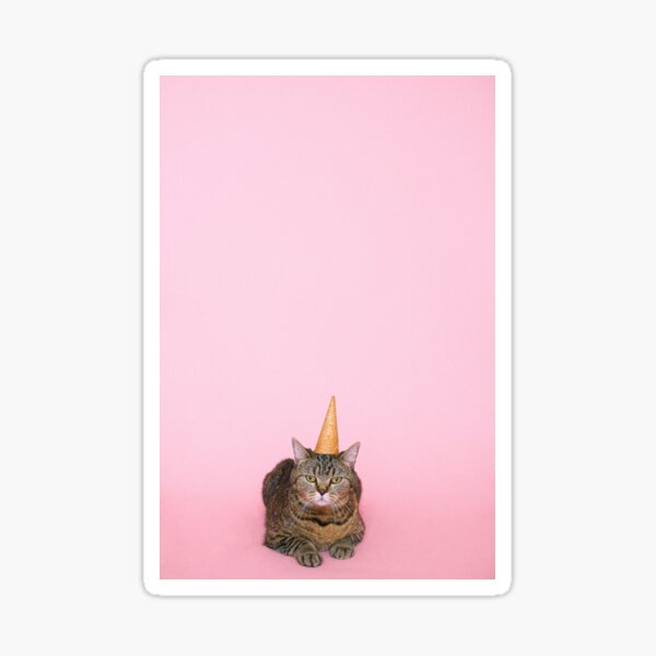 Grumpy Birthday Cat Sticker