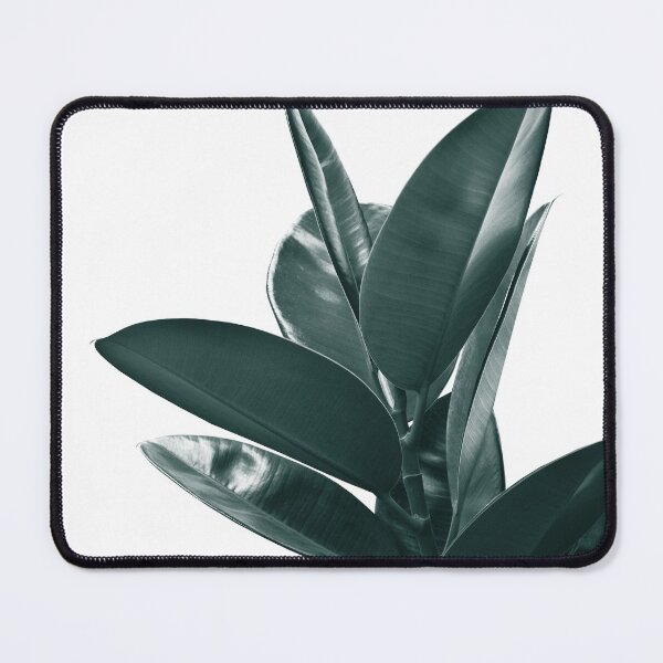 Item preview, Ficus Delight #1 #tropical #decor #art designed and sold by Anita's & Bella's Art.