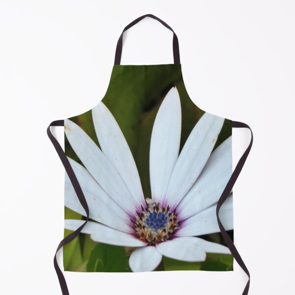 Item preview, White Blue-Eyed Daisy, Tresco Abbey Gardens designed and sold by niki2028.